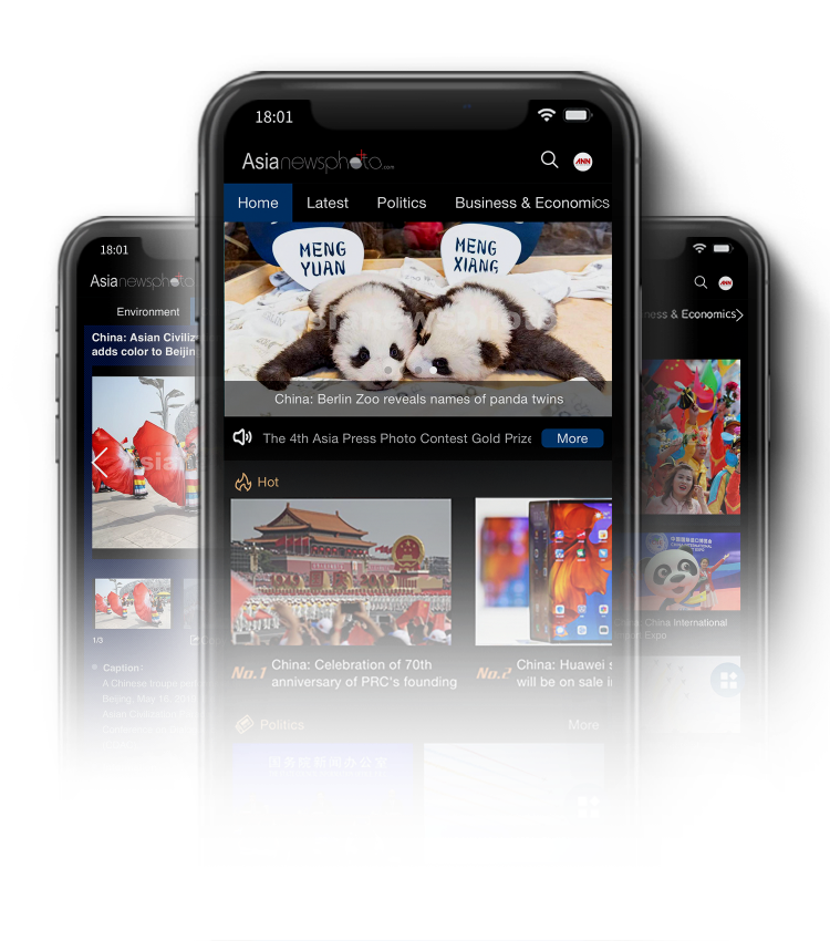 APP