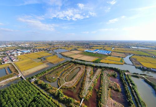 江苏海安白甸水乡秋色美