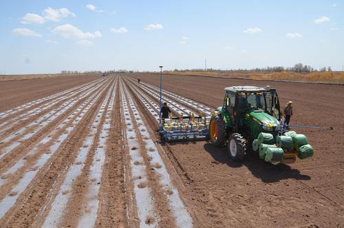 新疆兵团机械化播种棉花