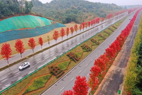 湖南益阳红枫大道
