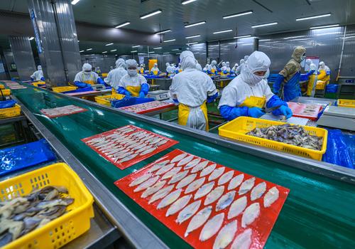 山东荣成海洋食品生产加工忙